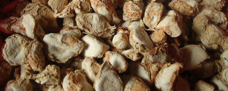 廣東沙姜種植方法和時間，多在3月底4月上旬種