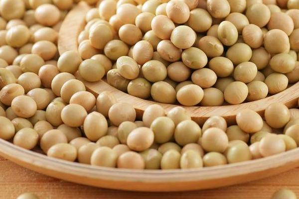 黃豆種植時間和技術