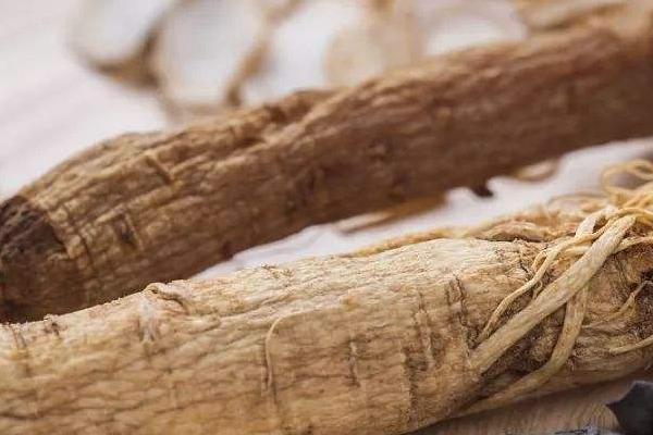 山東適合種植什么藥材