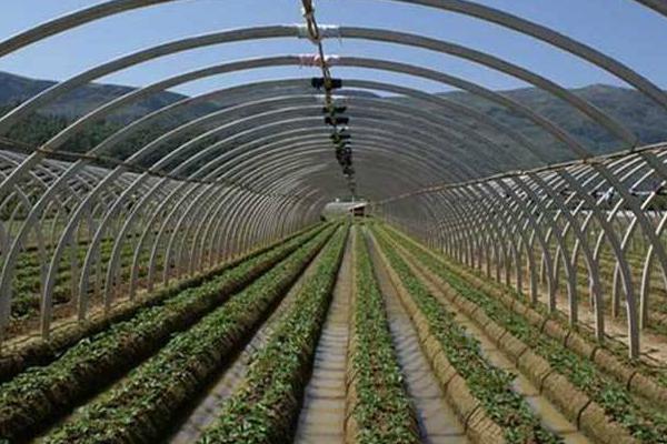 農村種植大棚國家補貼