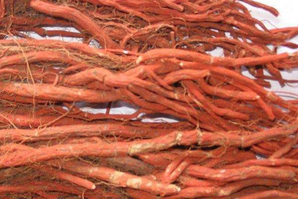 丹參畝產(chǎn)鮮貨多少公斤