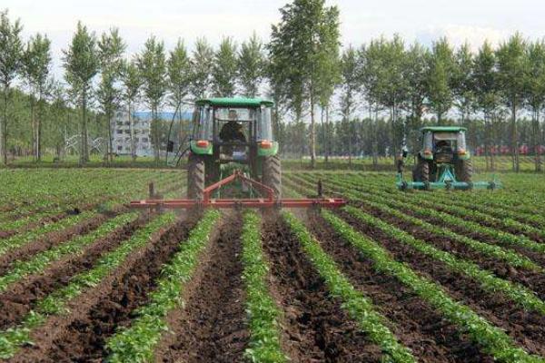 種植合作社業(yè)務(wù)范圍