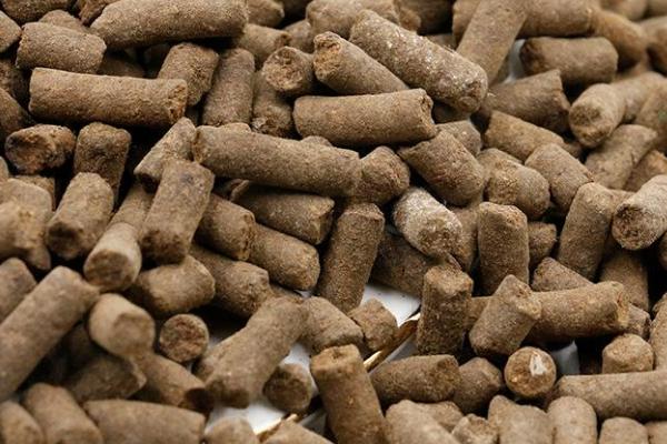 菜籽餅可以直接施肥嗎