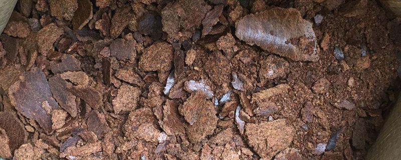 菜籽餅可以直接施肥嗎