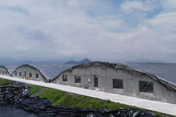 大棚養蝦的利潤與成本