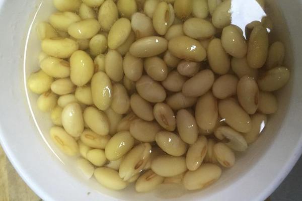 黃豆種植時間和技術