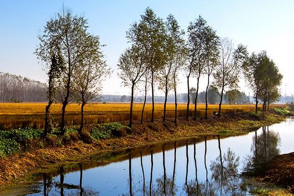 適合農村的特色養殖