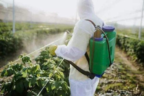 自制強力除草劑，