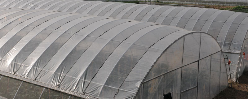 大棚溫濕度監(jiān)控系統(tǒng)可以定制嗎