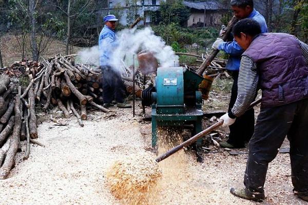香菇的種植方法及原料