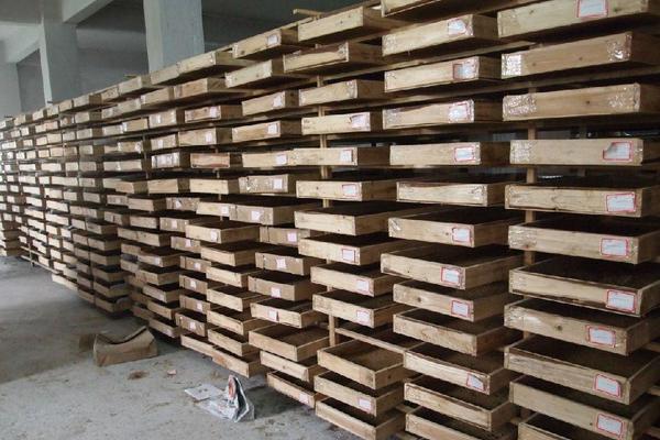 一斤黃粉蟲養(yǎng)殖成本