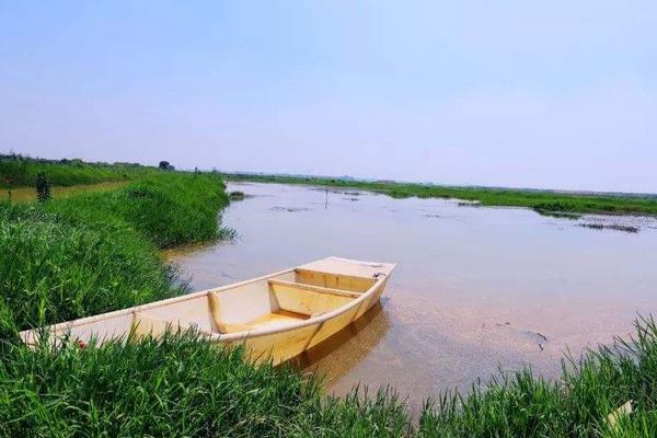 小龍蝦養殖吧開個小龍蝦養殖場要多少成本