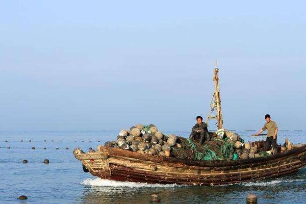 海虹的養(yǎng)殖方法