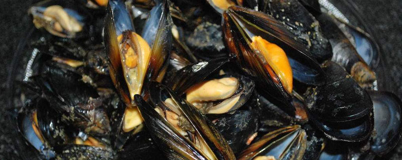 海虹的養(yǎng)殖方法