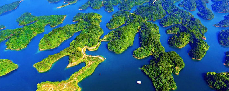 保護環境的做法