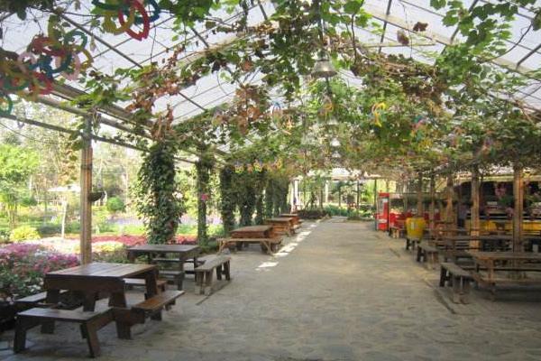 農業土地投資項目