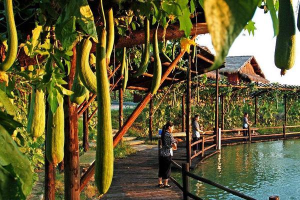 農業土地投資項目