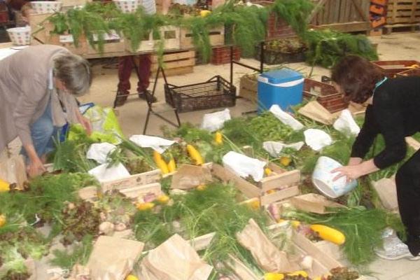 農業土地投資項目