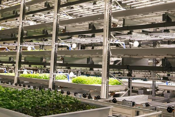 農業土地投資項目