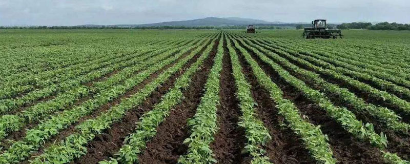 金都爾除草劑使用范圍