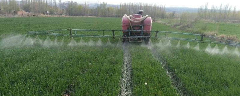 小麥?zhǔn)裁磿r候打多效唑