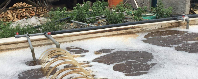 養(yǎng)豬場(chǎng)污水處理應(yīng)用技術(shù)