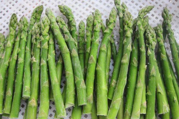 蘆筍采收的時間及方法