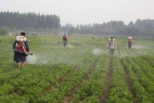花生除草劑有哪些