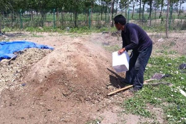 硝硫基與硫酸鉀的區(qū)別