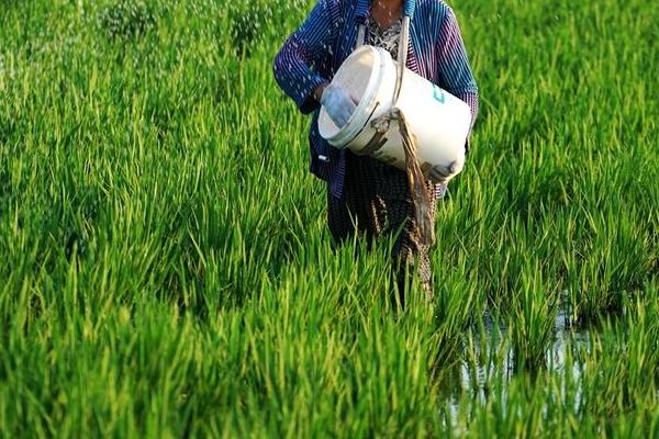 硝硫基與硫酸鉀的區(qū)別