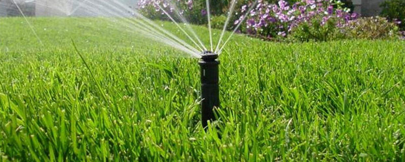 小麥什么時候澆返青水