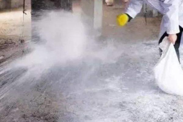 豬場石灰消毒法