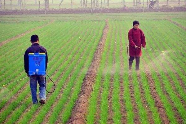 怎樣自制除草劑