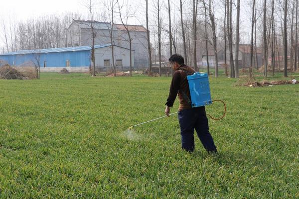 怎樣自制除草劑