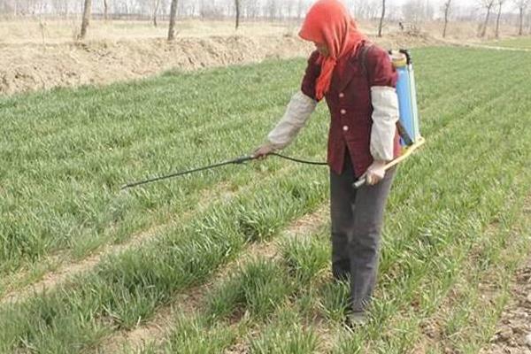 怎樣自制除草劑