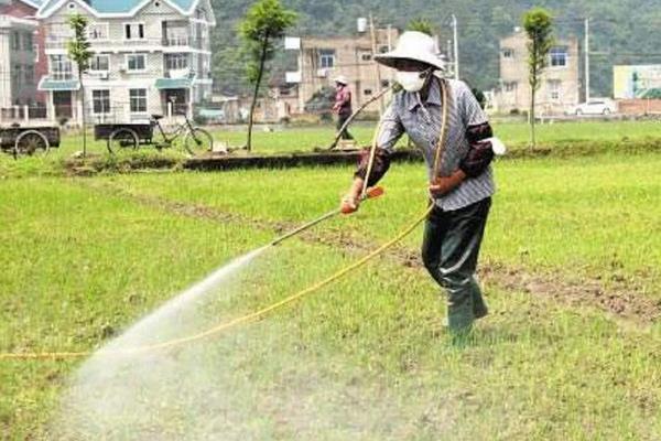 怎樣自制除草劑
