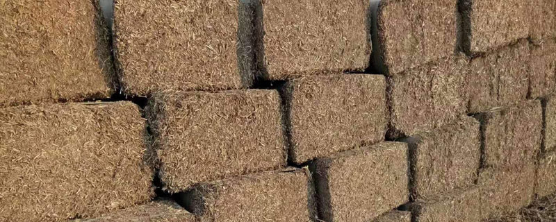 豬飼料品種介紹