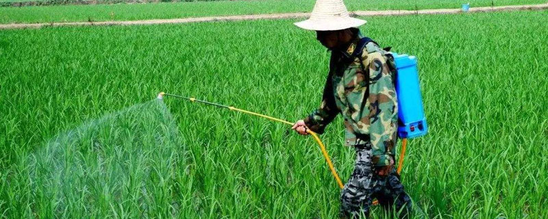 多少溫度能打除草劑