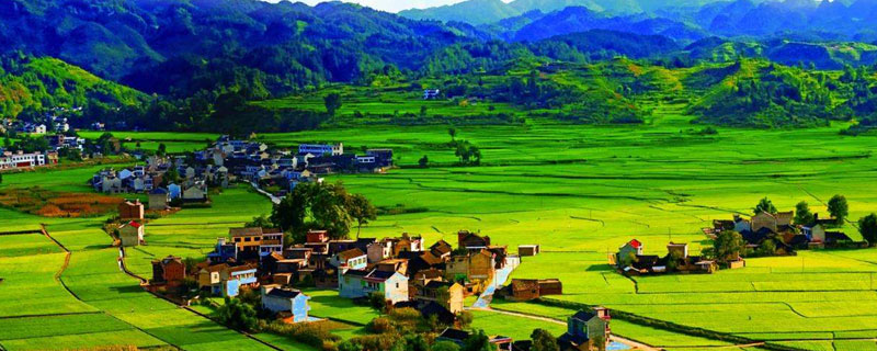 農業土地投資項目