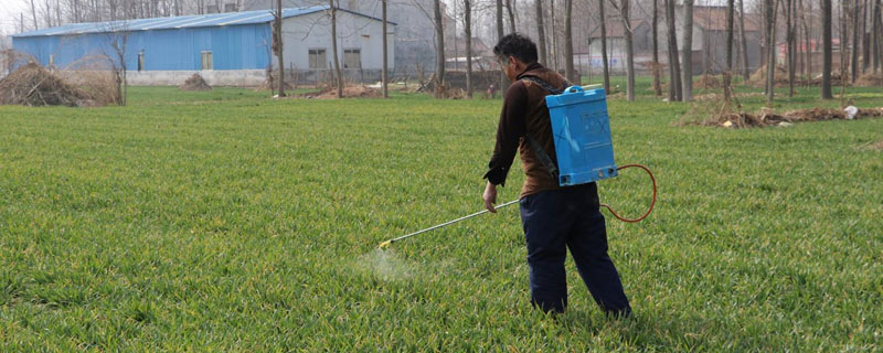 怎樣自制除草劑