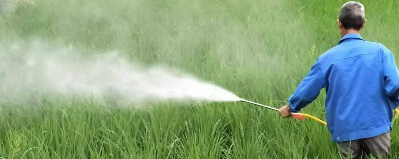 除草劑作用