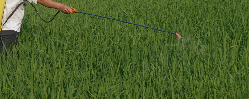 小麥除草劑組合配方