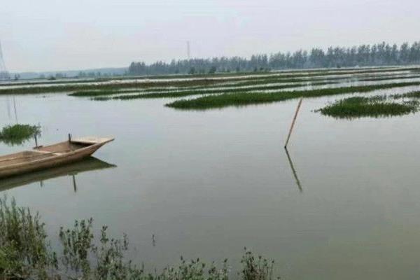 淡水蝦的養殖技術
