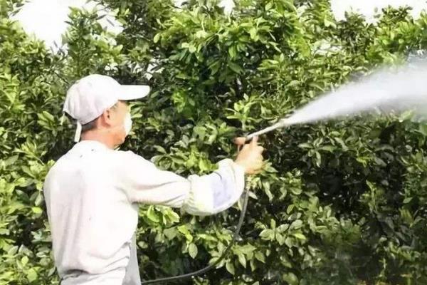 園林病蟲害防治的專業知識