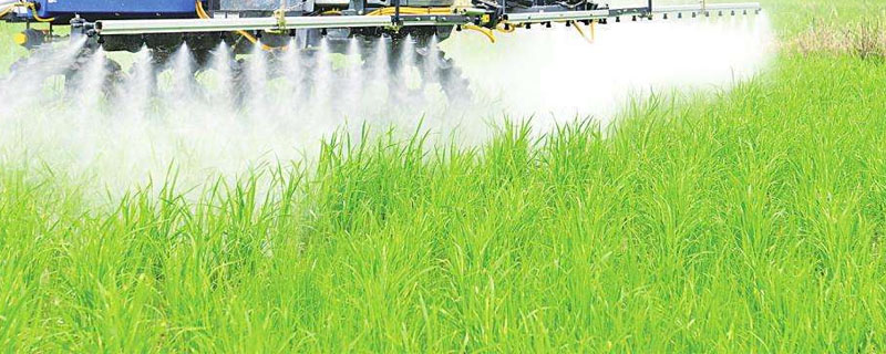 水溶肥使用禁忌，正確使用才能發揮更好的效果