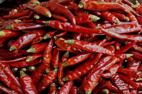 各種干辣椒品種和特點(diǎn)