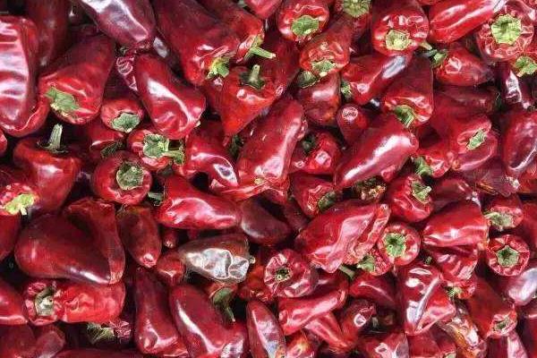 各種干辣椒品種和特點(diǎn)