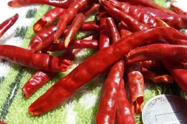 各種干辣椒品種和特點(diǎn)