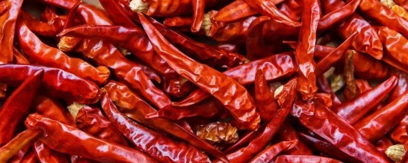 各種干辣椒品種和特點