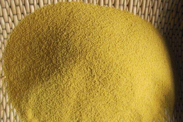 小米出蟲了還能吃嗎?小米的小白蟲和飛蛾怎么產生的?